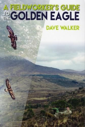 Cover image for A Fieldworker's Guide to the Golden Eagle