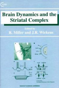 Cover image for Brain Dynamics and the Striatal Complex