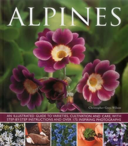 Cover image for Alpines