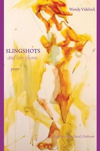 Cover image for Slingshots and Love Plums