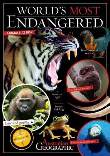 Cover image for World's Most Endangered