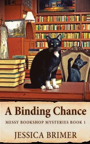 Cover image for A Binding Chance