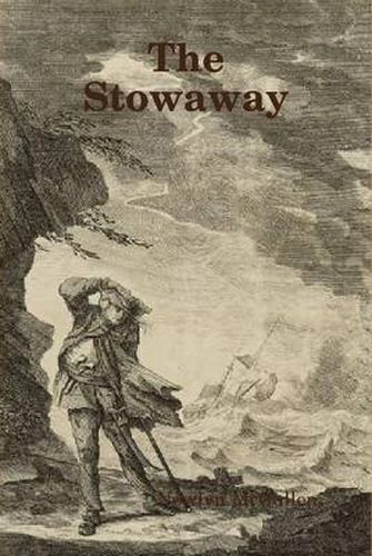 Cover image for The Stowaway