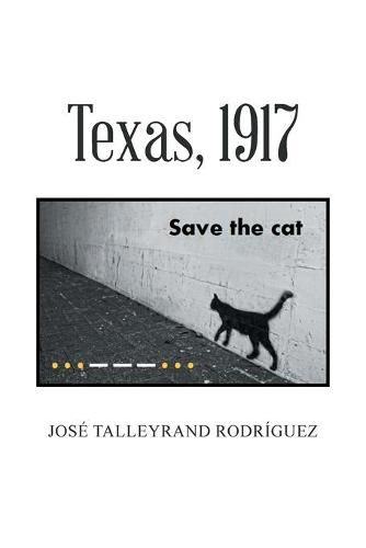 Cover image for Texas, 1917