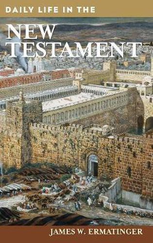 Cover image for Daily Life in the New Testament