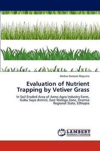 Evaluation of Nutrient Trapping by Vetiver Grass