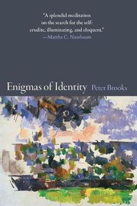 Cover image for Enigmas of Identity