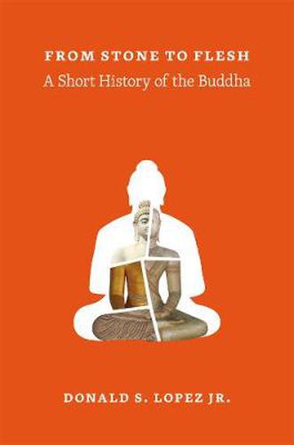 Cover image for From Stone to Flesh