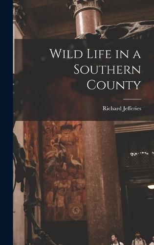 Cover image for Wild Life in a Southern County