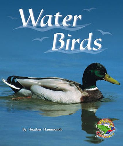 Water Birds