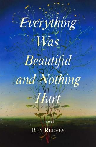 Cover image for Everything Was Beautiful and Nothing Hurt