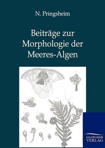 Cover image for Beitrage zur Morphologie der Meeres-Algen