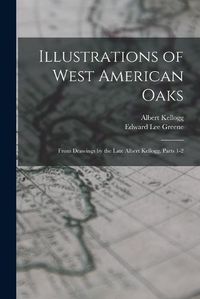 Cover image for Illustrations of West American Oaks