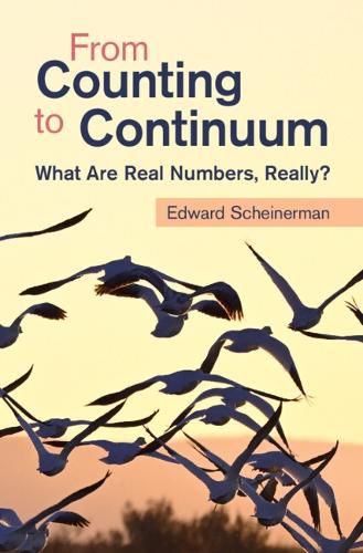 Cover image for From Counting to Continuum