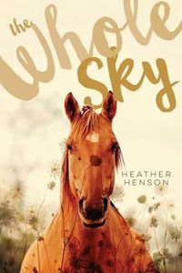 Cover image for The Whole Sky