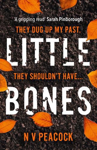 Cover image for Little Bones