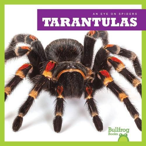 Cover image for Tarantulas