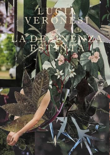 Cover image for Lucia Veronesi: The Extinct Desinence