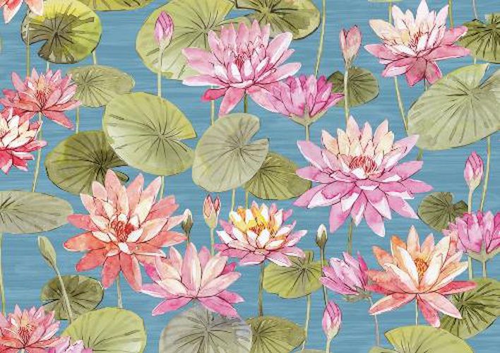 Cover image for Water Lilies Note Cards (14 Cards, 15 Self-Sealing Envelopes)