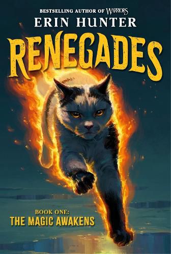 Cover image for Renegades #1: The Magic Awakens