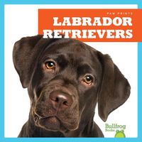 Cover image for Labrador Retrievers