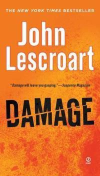 Cover image for Damage