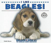 Cover image for I Like Beagles!