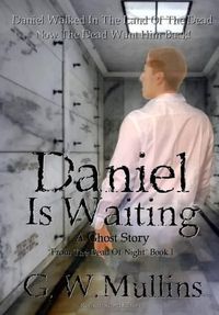 Cover image for Daniel Is Waiting A Ghost Story