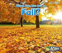 Cover image for What Can You See in Fall? (Seasons)