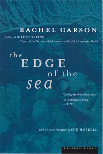 Cover image for The Edge of the Sea