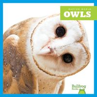 Cover image for Owls