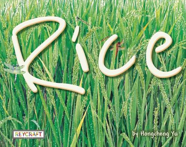 Cover image for Rice