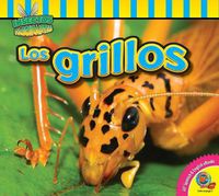 Cover image for Los Grillos