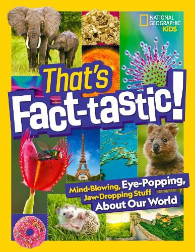 Cover image for That's Fact-Tastic!: Mind-Blowing, Eye-Popping, Jaw-Dropping Stuff about Our World