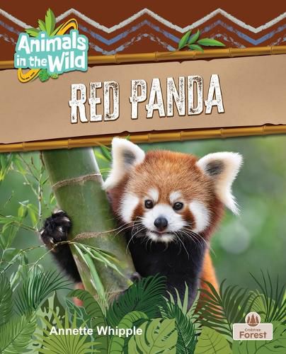 Cover image for Red Panda
