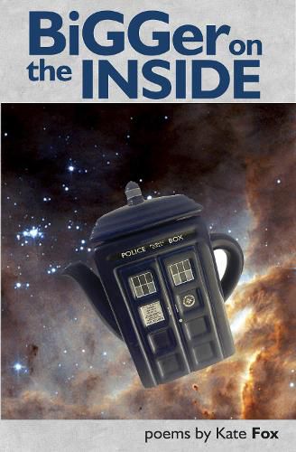 Cover image for Bigger on the Inside