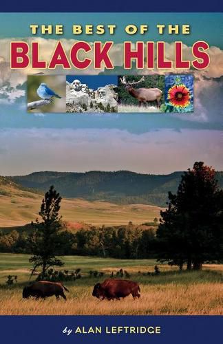 Cover image for The Best of the Black Hills