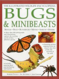 Cover image for Illustrated Wildlife Encyclopedia: Bugs & Minibeasts