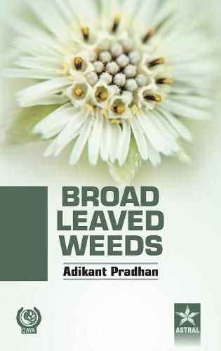 Cover image for Broad Leaved Weeds