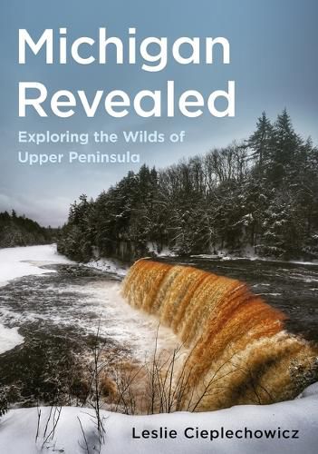 Cover image for Michigan Revealed