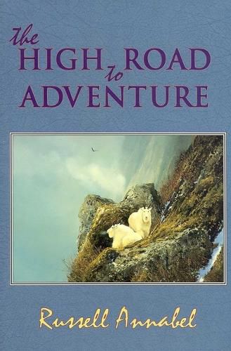 Cover image for The High Road to Adventure