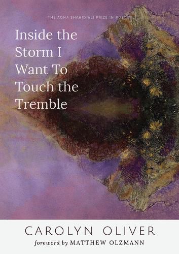 Cover image for Inside the Storm I Want to Touch the Tremble