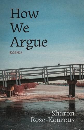 Cover image for How We Argue