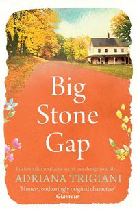 Cover image for Big Stone Gap