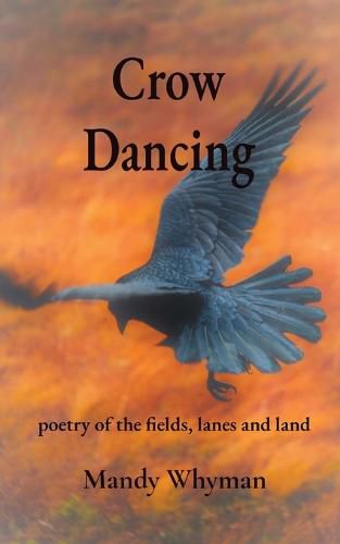 Cover image for Crow Dancing