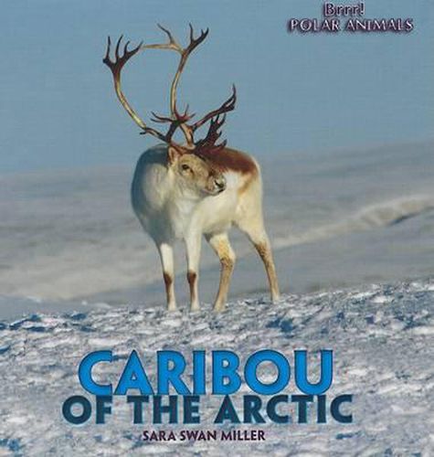 Caribou of the Arctic