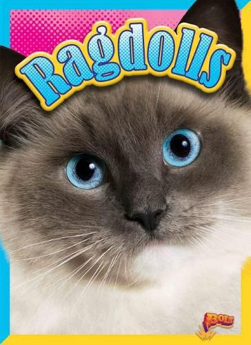 Cover image for Ragdolls