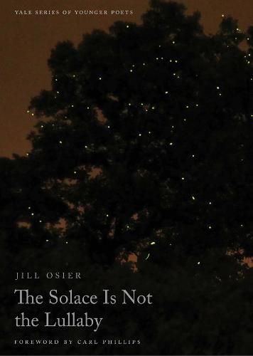 Cover image for The Solace Is Not the Lullaby