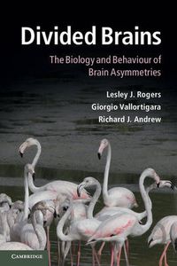 Cover image for Divided Brains: The Biology and Behaviour of Brain Asymmetries