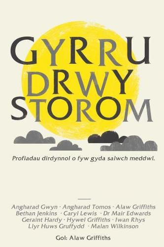 Cover image for Gyrru drwy Storom